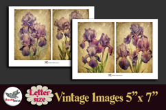 Vintage Iris Flowers 5x7 Printable Kit Letter Size Product Image 2
