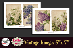 Vintage Lilac Flowers Printable Kit 5x7 Letter Product Image 2