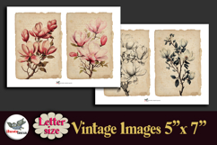 Pink Magnolia Vintage 5x7 Journal Pages Kit Letter Product Image 2