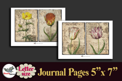 Vintage Botanical Journal Pages Printable Letter Kit Product Image 2