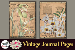 Vintage Botanical Journal Pages Letter Size Printable Product Image 2