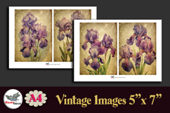 Vintage Iris Flowers 5x7 Printable Journal Kit A4 Product Image 2