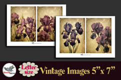 Vintage Iris Flowers 5x7 Printable Journal Kit Letter Product Image 2