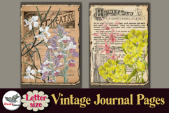 Vintage Botanical Journal Pages Letter Size Printable Product Image 3
