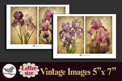 Vintage Iris Flowers 5x7 Printable Kit Letter Size Product Image 3