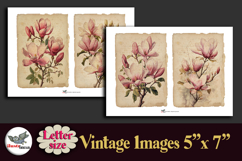 Pink Magnolia Vintage 5x7 Journal Pages Kit Letter Product Image 3