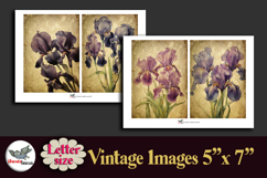 Vintage Iris Flowers 5x7 Printable Journal Kit Letter Product Image 3