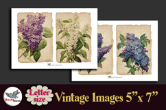 Vintage Lilac Flowers 5x7 Printable Kit Letter Size Product Image 3