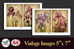 Vintage Iris Flowers 5x7 Printable Journal Kit A4 Product Image 3