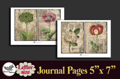 Vintage Botanical Journal Pages Printable Letter Kit Product Image 3
