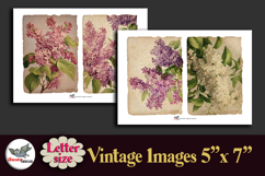 Vintage Lilac Flowers Printable Kit 5x7 Letter Product Image 3