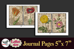 Vintage Botanical Journal Pages Printable Letter Kit Product Image 4