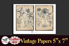 Vintage Botanical Engravings Letter-size Journal Papers Kit Product Image 5