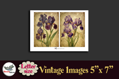 Vintage Iris Flowers 5x7 Printable Journal Kit Letter Product Image 4