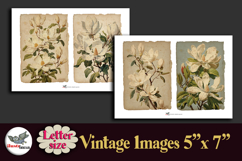 White Magnolia Vintage 5x7 Printable Kit Letter Product Image 4