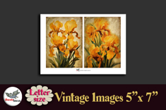 Vintage Iris Flowers 5x7 Printable Kit Letter Size Product Image 4