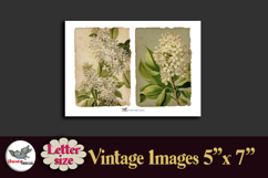 Vintage Lilac Flowers Printable Kit 5x7 Letter Product Image 4