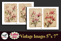 Pink Magnolia Vintage 5x7 Journal Pages Kit Letter Product Image 4
