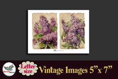 Vintage Lilac Flowers 5x7 Printable Kit Letter Size Product Image 4