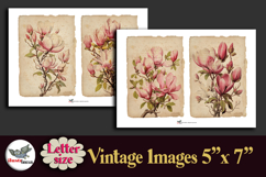 Pink Magnolia Vintage 5x7 Journal Pages Kit Letter Product Image 5