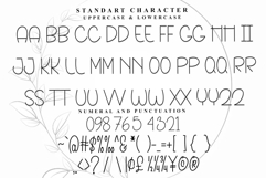 Another Beloved Product Image 4