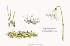 Snowdrop Watercolor Clipart PNG - Botanical Spring Flowers Product Image 3