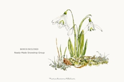 Snowdrop Watercolor Clipart PNG - Botanical Spring Flowers Product Image 5