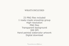 Snowdrop Watercolor Clipart PNG - Botanical Spring Flowers Product Image 6