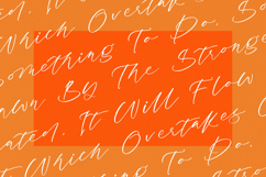 Antelas Berlin - Modern Handwritten Script Product Image 9