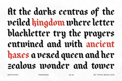 Antifight - Modern Gothic Blackletter Font Product Image 5