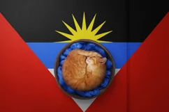 Backgrounds for Photography & Marketing. Antigua & Barbuda Product Image 8