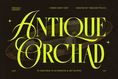 Antique Orchad - Hybrid Serif Font Product Image 1