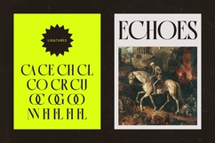 Antique Orchad - Hybrid Serif Font Product Image 5