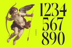 Antique Orchad - Hybrid Serif Font Product Image 6