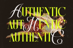Antique Orchad - Hybrid Serif Font Product Image 8