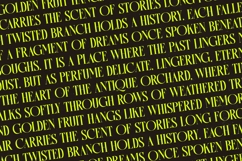 Antique Orchad - Hybrid Serif Font Product Image 13