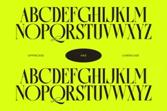 Antique Orchad - Hybrid Serif Font Product Image 15