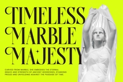 Antique Orchad - Hybrid Serif Font Product Image 17