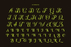 Antique Orchad - Hybrid Serif Font Product Image 18