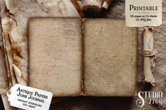 Antique Papers Junk Journal Pages Product Image 2