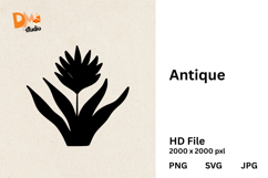 Antique Floral Vintage Botanical Illustrations |PNG|SVG|JPG Product Image 1