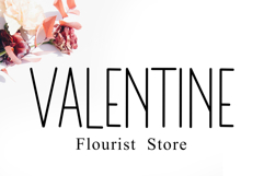 Antique Product Image 4