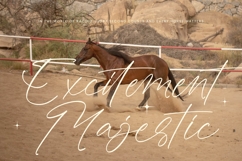 Antiquity Rebelion - Stylish Handwritten Font Product Image 6