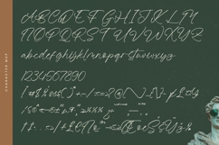 Antiquity Rebelion - Stylish Handwritten Font Product Image 18