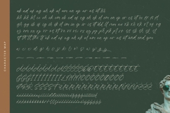 Antiquity Rebelion - Stylish Handwritten Font Product Image 19