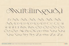 Aphyx - Modern Serif Font Product Image 10