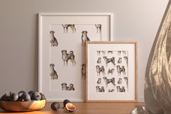 Appenzeller Sennenhund seamless patterns Product Image 2