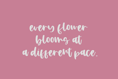 Apple Blossom Script Product Image 2