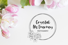 Apple Blossom Script Product Image 3