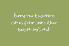 Apple Blossom Script Product Image 4